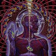 Tool Schism Drop B