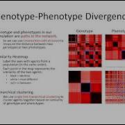 Paper 57 Emergence Focused Design In Complex System Simulation