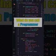 Lame Programmer Jokes Part 1 Shorts