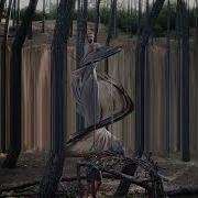 Made With Slitscan
