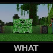 WAIT WHAT Minecraft 34