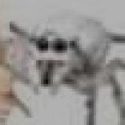 SHITPOST COMPILATION 9 SHITPOST ESPAÑOL Mataolix