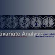 Basics Of Multivariate Analysis In Neuroimaging Data L Protocol Preview