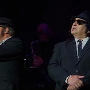 Gimme Some Lovin Official Blues Brothers Revue