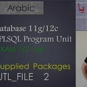 63 125 Oracle PLSQL Supplied Packages UTL FILE 2