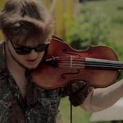Summer Particle 5 String Theory Violin Live Looping