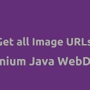 Get All Image URLs On Webpage Selenium Java
