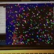 SM2715 Creative Coding Demo Video