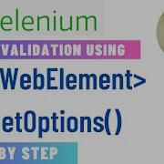 Test Validation Using List Of WebElement GetOptions In Selenium WebDriver