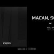 Macan Scirena Ivl Slowed Reverb
