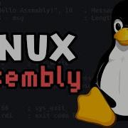 Как запустить ассемблерный код в Linux Пошаговое руководство по NASM