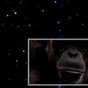 Chimp Vs Human Working Memory Test Extraordinary Animals Earth