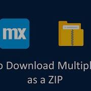 How To Download Multiple Files As A Single ZIP In Mendix EN