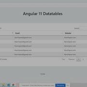 Angular 11 Datatable Working Demo