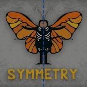 The Science Of Symmetry Colm Kelleher