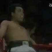 Muhammed Ali Kelebek Gibi Uçarım Arı Gibi Sokarım