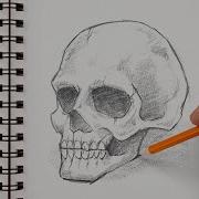 Как нарисовать реалистичный череп Пошаговый урок по созданию эскиза