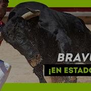Los TOROS SALVAJES Más BRAVOS Soltados En 2024 Qué ANIMAL