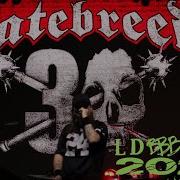 Hatebreed Live Headlining LDB 2024