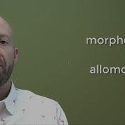 Морфология часть 2