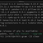 Setup Python And Streamlit In Arch Linux