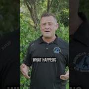 Does A Guard Dog Need To Know How To Bite