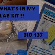 WHAT S IN MY LAB KIT AND MORE Life With Sigourney Le