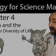 Chapter 4 Carbon And The Molecular Diversity Of Life