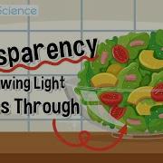Transparency Allowing Light To Pass Through
