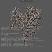 L Systems