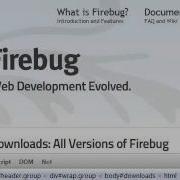 Web Development Using Firebug