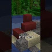 How To Find Trail Ruines In Minecraft 1 20