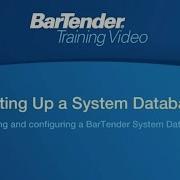 Setting Up A System Database In BarTender Software Tutorial