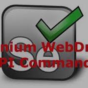 Selenium WebDriver API Commands
