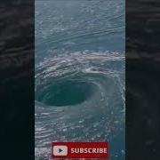 The Bigger Whirlpool On The Sea In Shorts