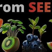 I Filmed EXOTIC Plants For 1001 DAYS