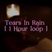 Tears In Rain 1 Hour Loop