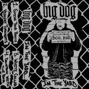 BIG DOG Oi IN THE YARD 2023