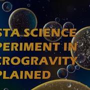 PASTA Science Experiment In Microgravity Explained