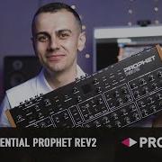 Обзор Sequential Prophet REV2 8 ми голосный полифонический синтезатор