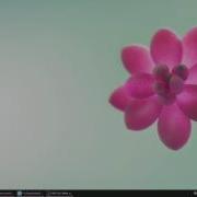 HTML 5 How To Insert An Image