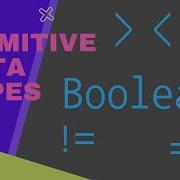Primitive Data Types Boolean