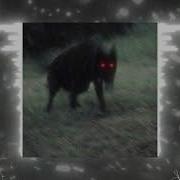 CRXSXD PREDATOR Super Slowed