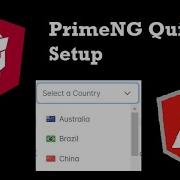 PrimeNG Quick Setup For Angular