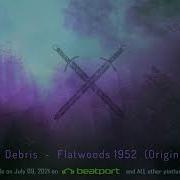 Dream Debris Flatwoods1952