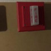 Mini Test 62