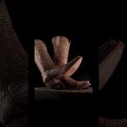 Python Boots ASMR Fashion