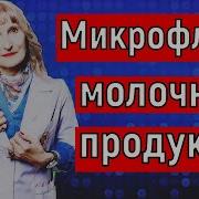Микрофлора молочных продуктов