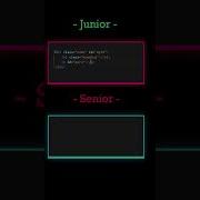 Senior Vs Junior Developer Coding Html Css Webdesign