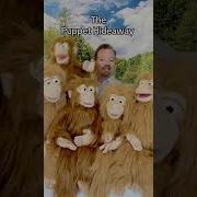 Puppet Of The Day Large Monkey 25 Made By Silly Puppets The Puppet Hideaway With Eric Thomsen